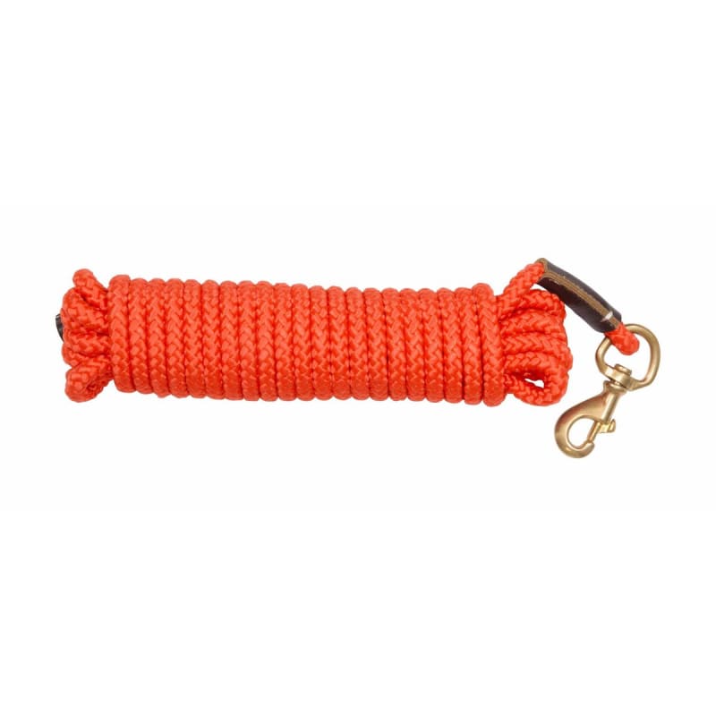 Hundesnor - Orange