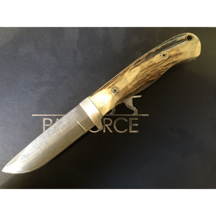 Parforce - Stag Hunter Jagtkniv