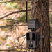 Spypoint Cell Link til Vildtkamera monteret på et træ